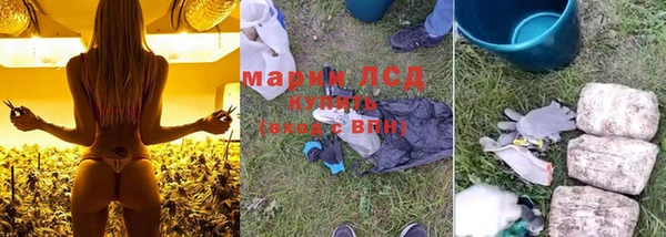 молекула духа Алзамай